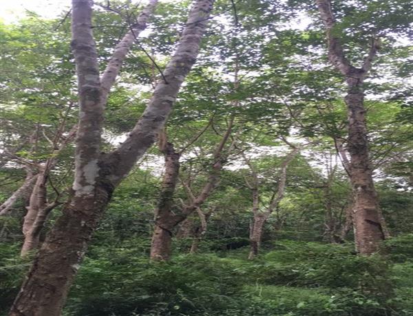 19ac6f73-9be7-4485-8d00-558d9143ad6e