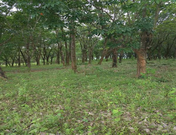 405bc064-eaf4-4957-a0aa-dadbca52fc43