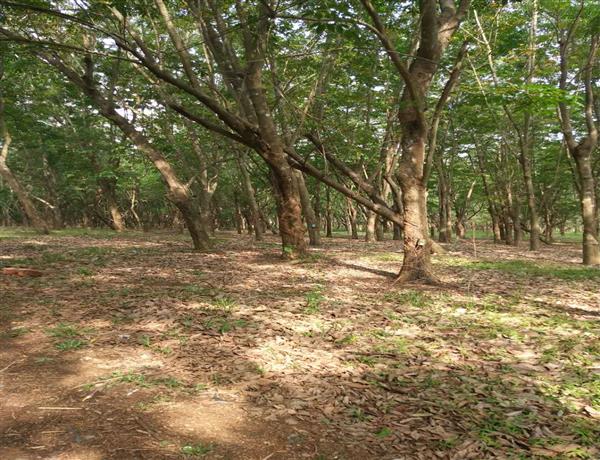 454c43c5-1309-409b-b1bb-023b9e870798