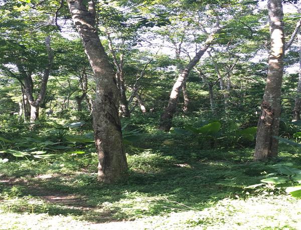 6ed17108-5a35-4db5-8952-aa20ca4378bc