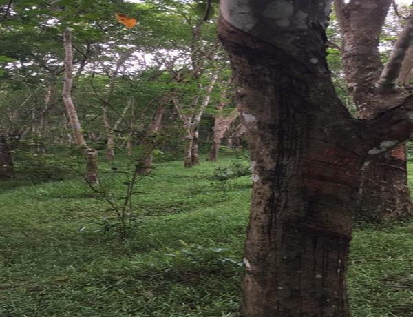 83b84558-b3f8-4591-8799-e435ef537852