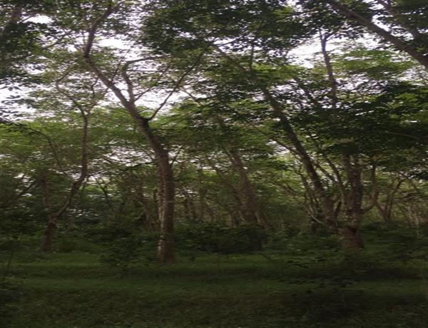 8a976334-f4e9-4863-b106-b40e56ebf73b