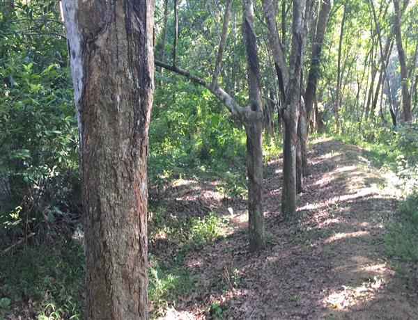 8e608974-57f8-4fc5-8248-2c459bfd8f9d