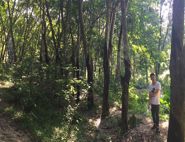 92f52026-14ab-46ea-a08b-77b1ce52f858