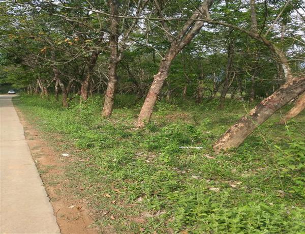 94454335-32d0-417e-8369-d8b087d9ca77