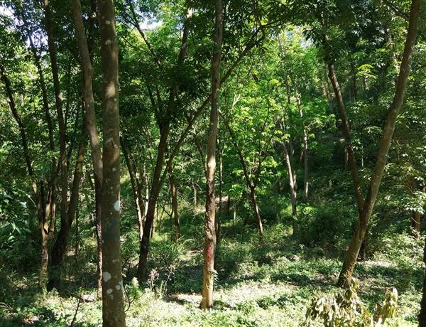 96b90f10-2fac-4801-a97b-5425e343d914