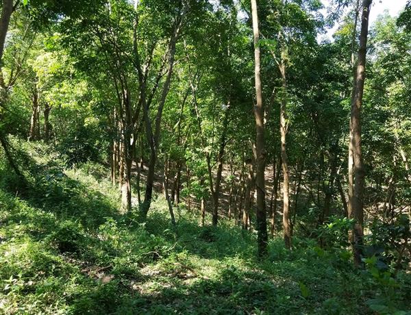 9b9ab869-8bf5-4695-87e4-f1b1f5de226c