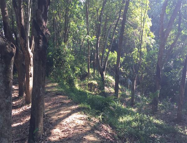 aea44835-801c-4352-ad0d-62331d666a75