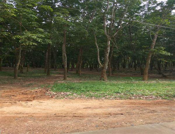 b8d2b6df-4c8b-4ea8-999d-21179e4004c7