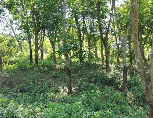 ce51f805-627f-492a-a55b-cac19b78aef4