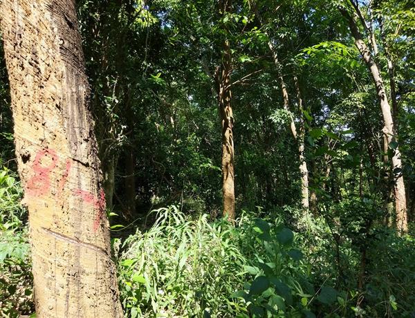 e3a5c385-345f-49ed-9298-e1dc76d345b0