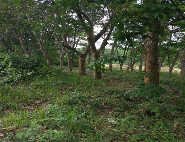 ece9b358-323f-4dd6-8c67-c2a8de381fb2